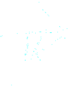 The TK Team